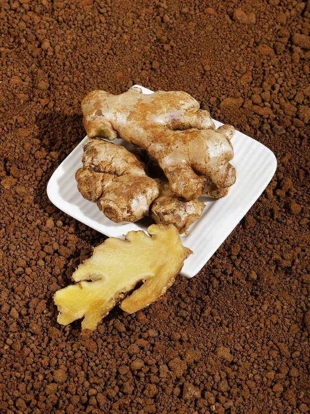 Organic Ginger(Aada) Price in India - Buy Organic Ginger online