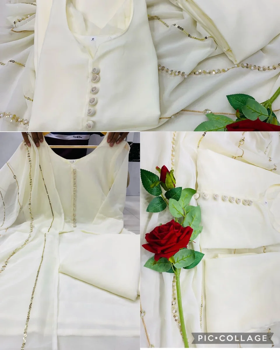 Anarkali suit 4