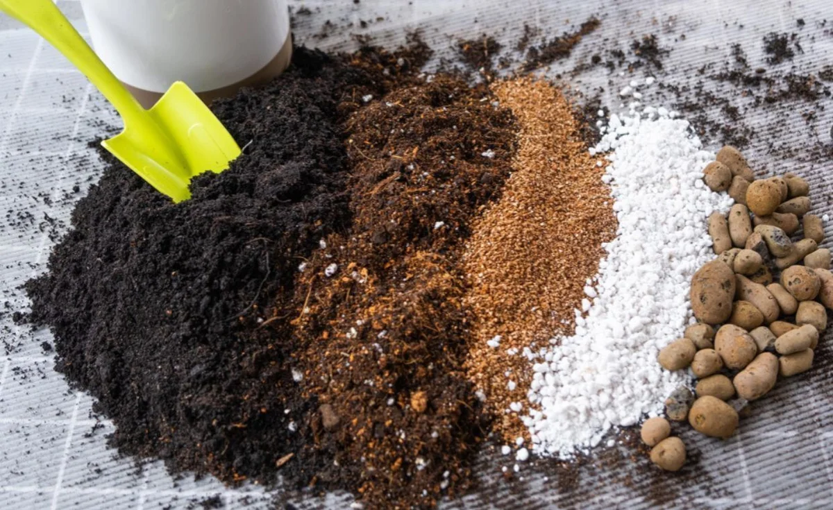 Organic Fertilizer