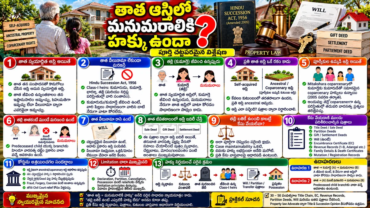 తాత ఆస్తిలో మనుమరాలికి హక్కు ఉందా? — పూర్తి చట్టపరమైన విశ్లేషణ — photo 2