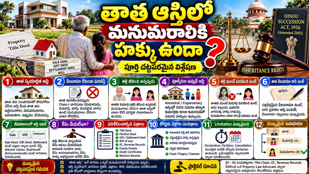 తాత ఆస్తిలో మనుమరాలికి హక్కు ఉందా? — పూర్తి చట్టపరమైన విశ్లేషణ — photo 1