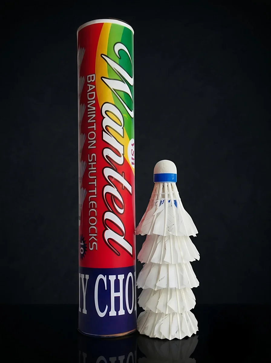 Shuttlecock 🏸