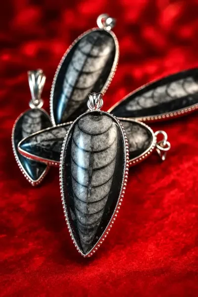 Natural Orthoceras Kuber Stone pendant with elongated fossil pattern in silver-tone metal setting