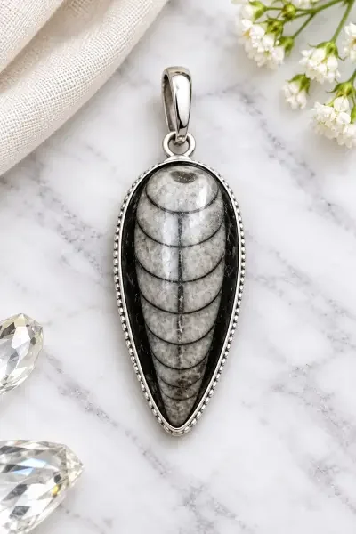 Polished Natural Orthoceras Kuber Stone pendant displayed on a white background