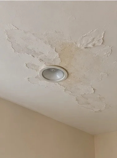 Peeling Ceiling Paint