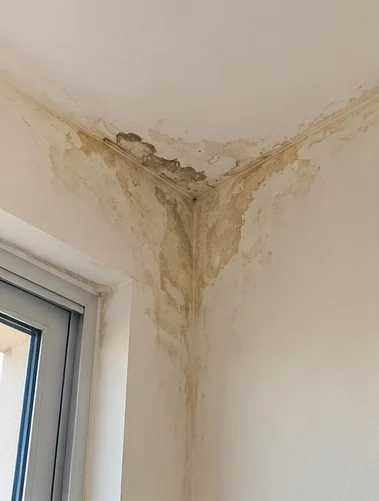 Water Staining on Walls and Ceiling
