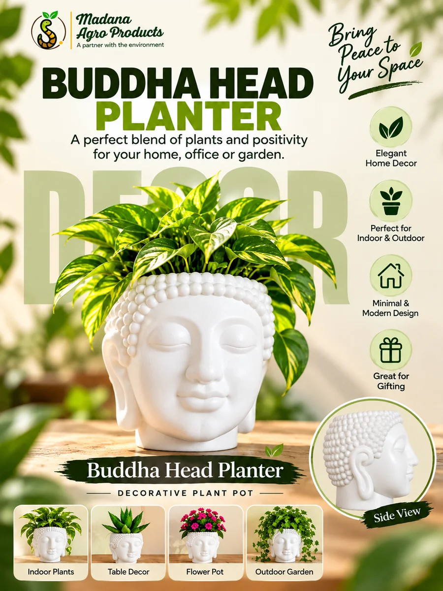 madana Buddha Head Planter 6" – White Buddha Face Plant Pot for Home & Garden Décor