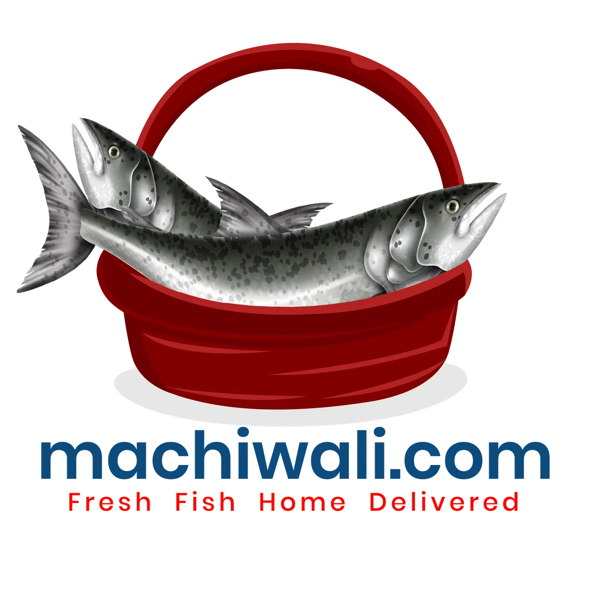 Machiwali.com