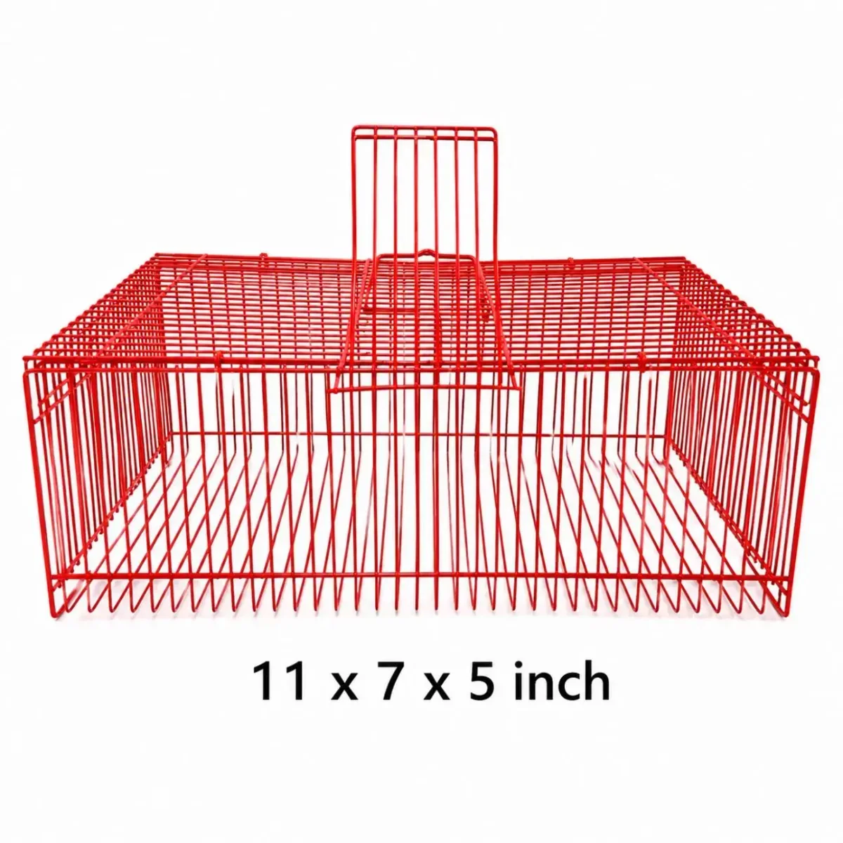 Travel Cage Big 3