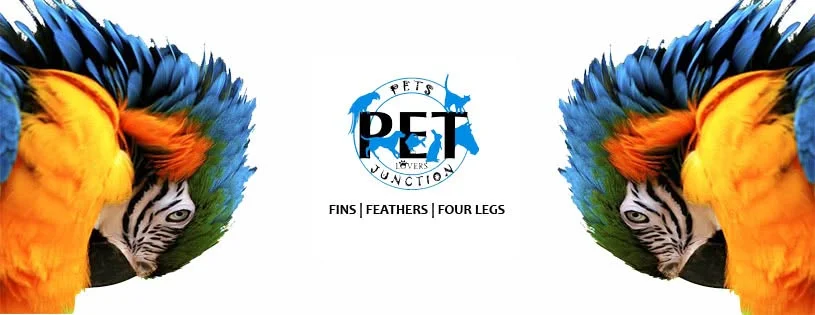 Pets Junction