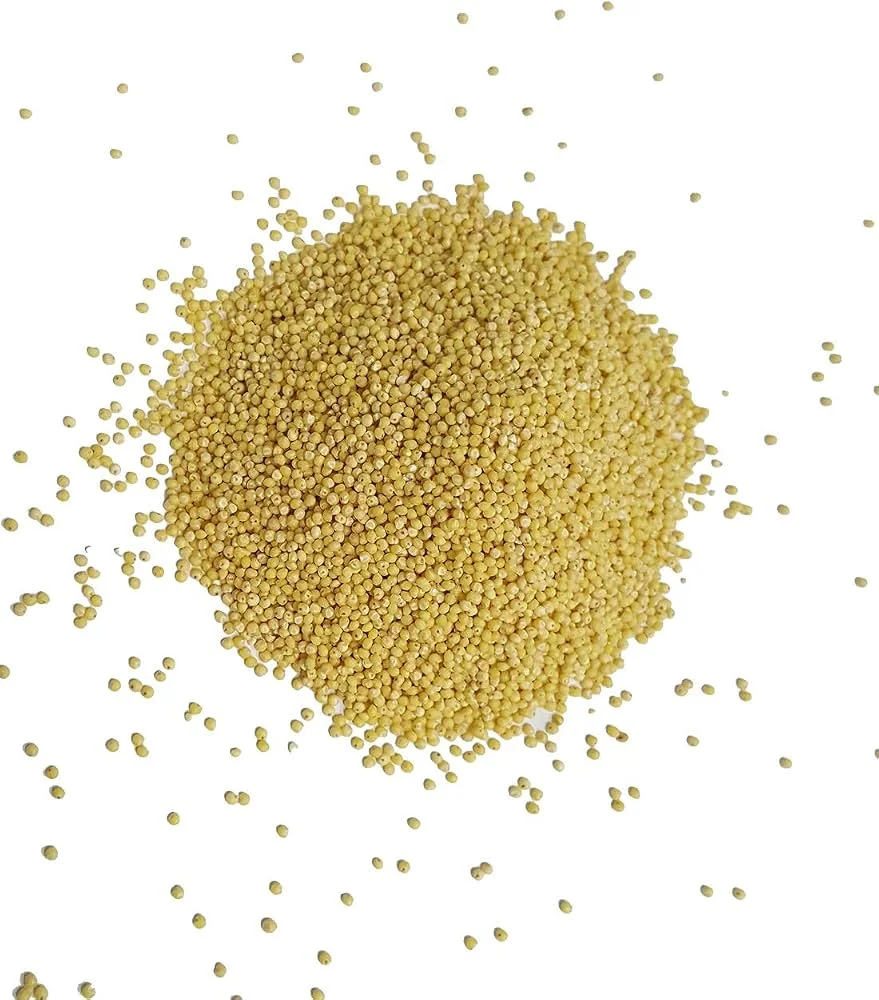 Yellow Millet