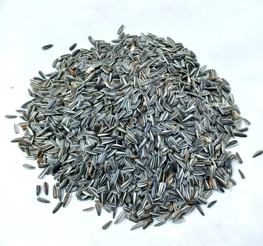 Sunflower Seed