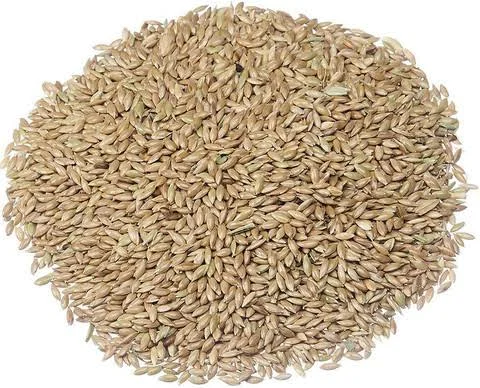 Canary Seed