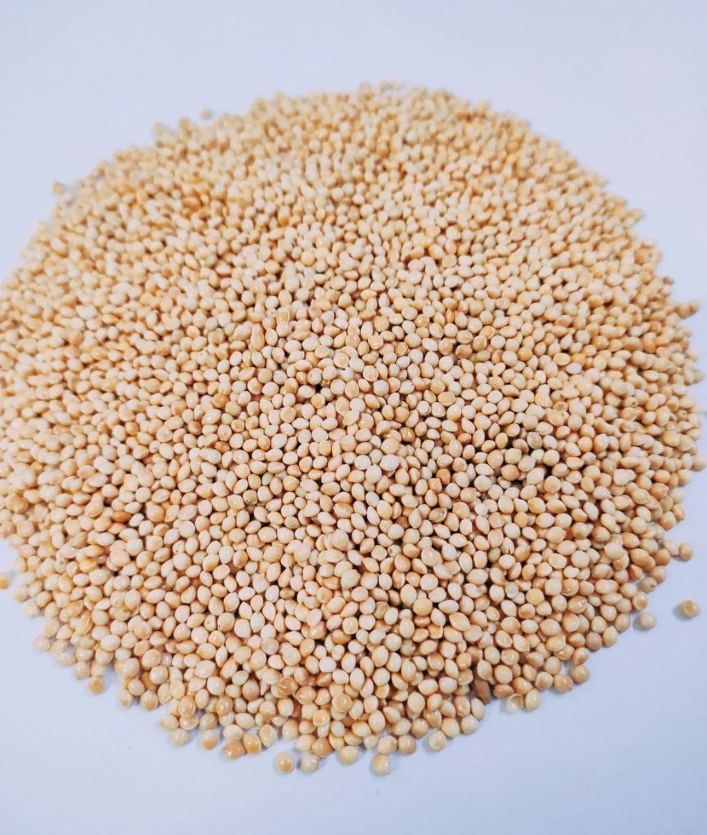 White Millet