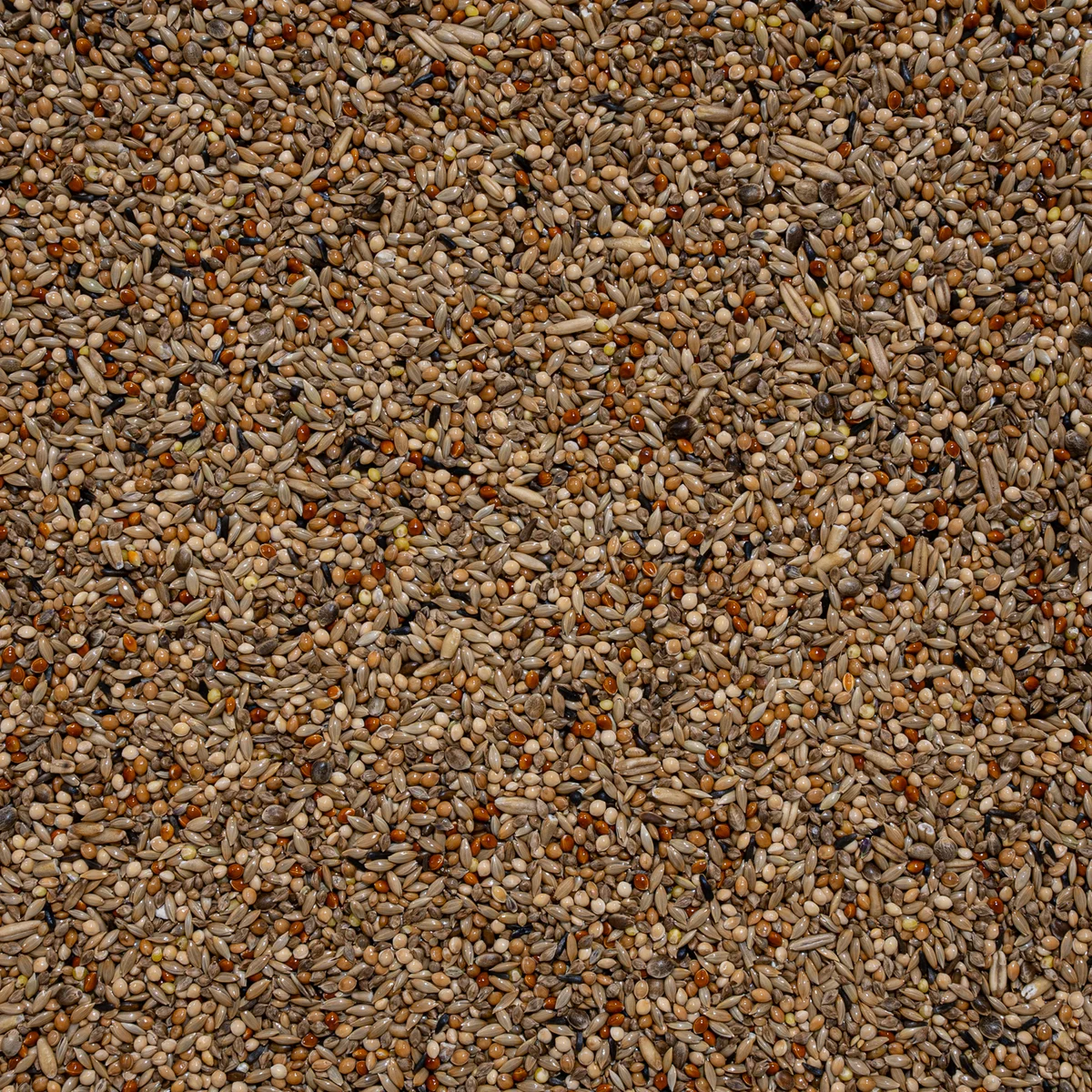 Delinature Budgies Mix 20 kg 2