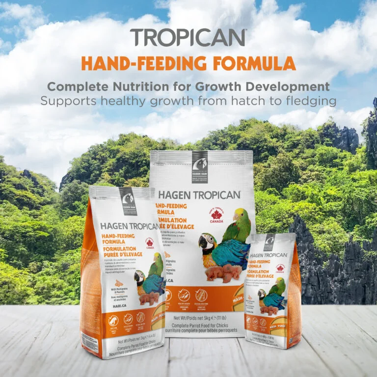 HARI Tropican Hand-Feeding Formula for Baby Birds – Mash, 2kg 2