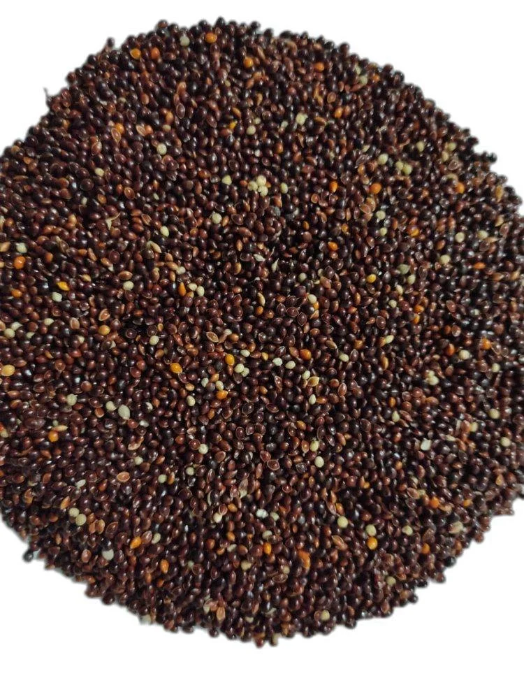 Black Millet