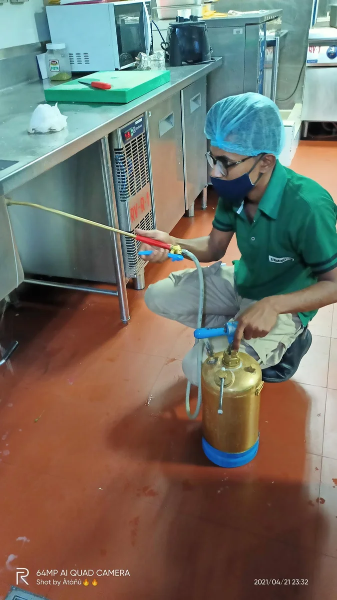 Commercial Kitchen Drain & Fly Management