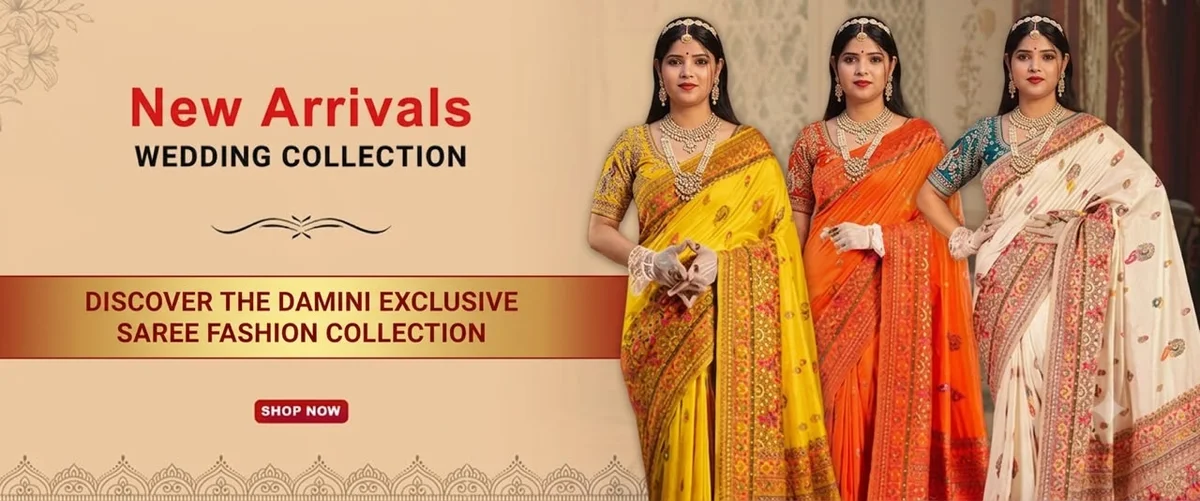 Damini Saree Fashion