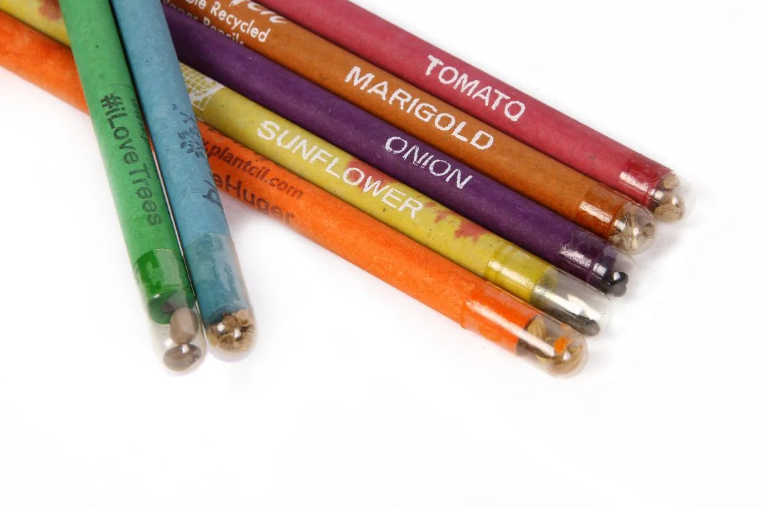 Streetbuy's Recycled Plantable which help to save Trees 100% wooden-free Seed Pencil (Pack Of 10) 3