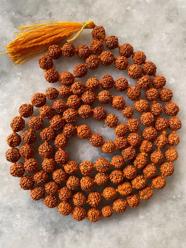 Rudraksha Siddha Mala — 108+1
