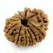 11 Mukhi Rudraksha — Hanuman