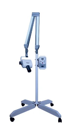 Dental X Ray