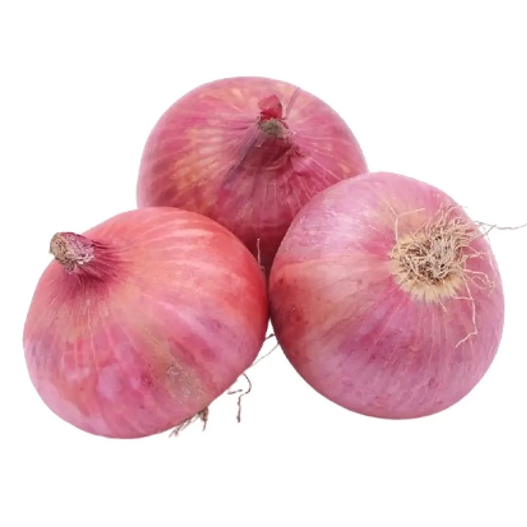 Onion- Big