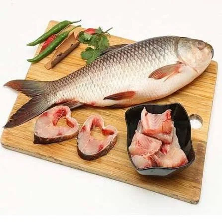 Ruhi Fish ( রুই মাছ) With Head