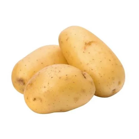 Potato