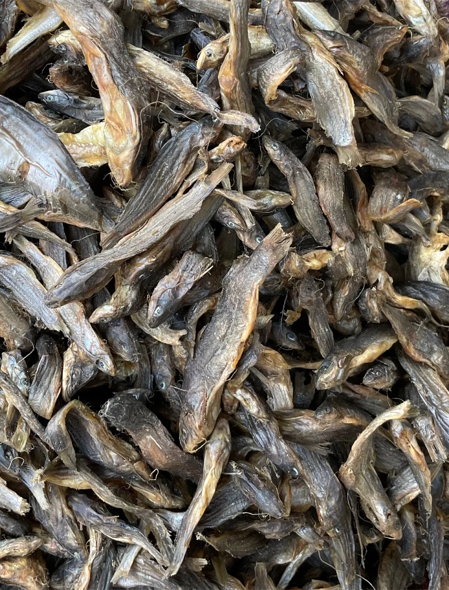 Tengra Shidol ( টেংরা শিদল)