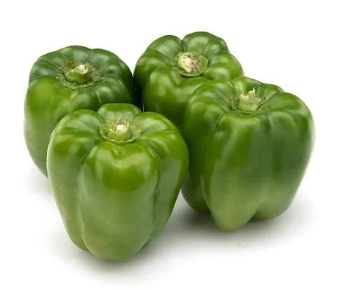 Capsicum