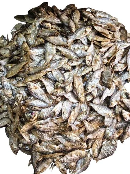 Chapila Shidol ( চাপিলা শিদল)