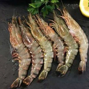 Golda Chingri Big 18 Inch
