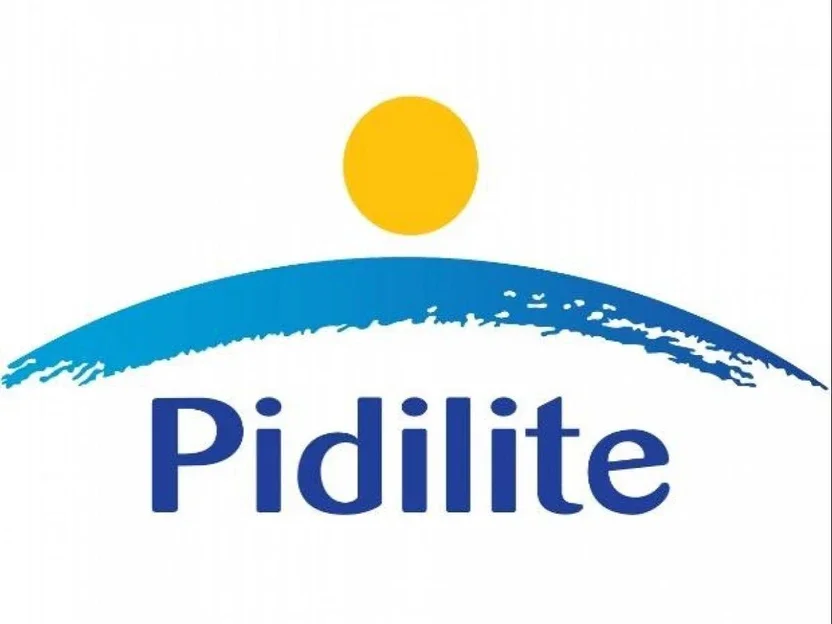 Pidilite FEVICOL SR 998 SYNTHETIC RUBBER ADHESIVE 200ML Adhesive 2