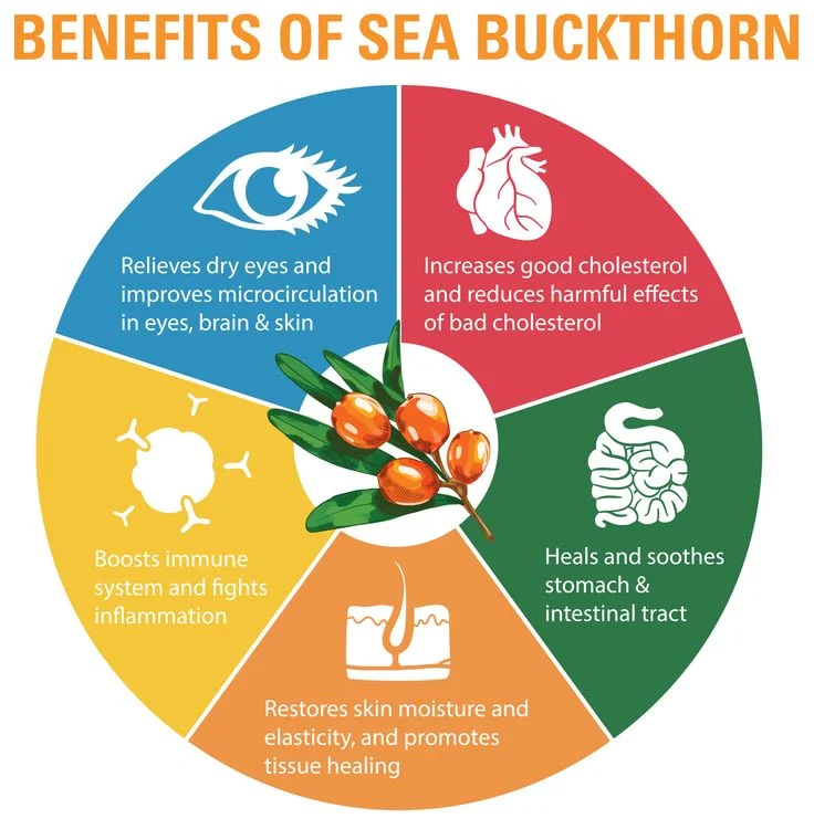 Dried Sea Buckthorn Berry 200gm 5
