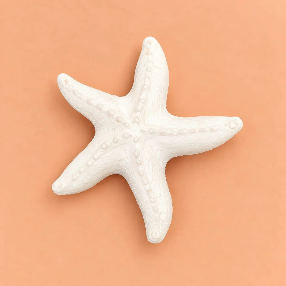 Star Fish 30mm