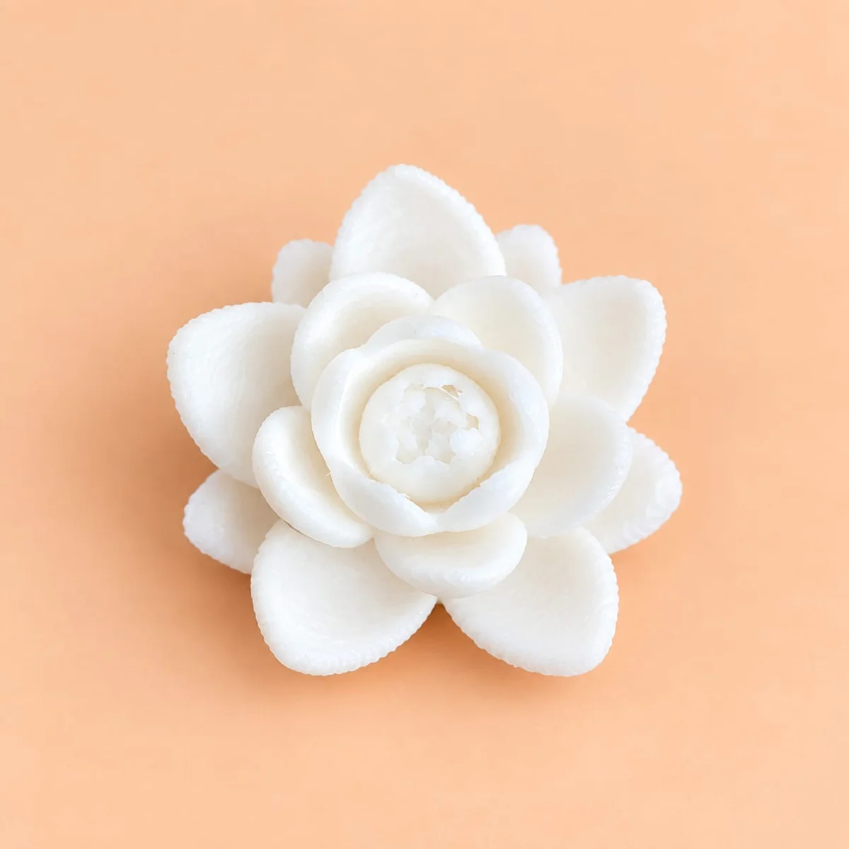 Lotus A 25mm-White 3