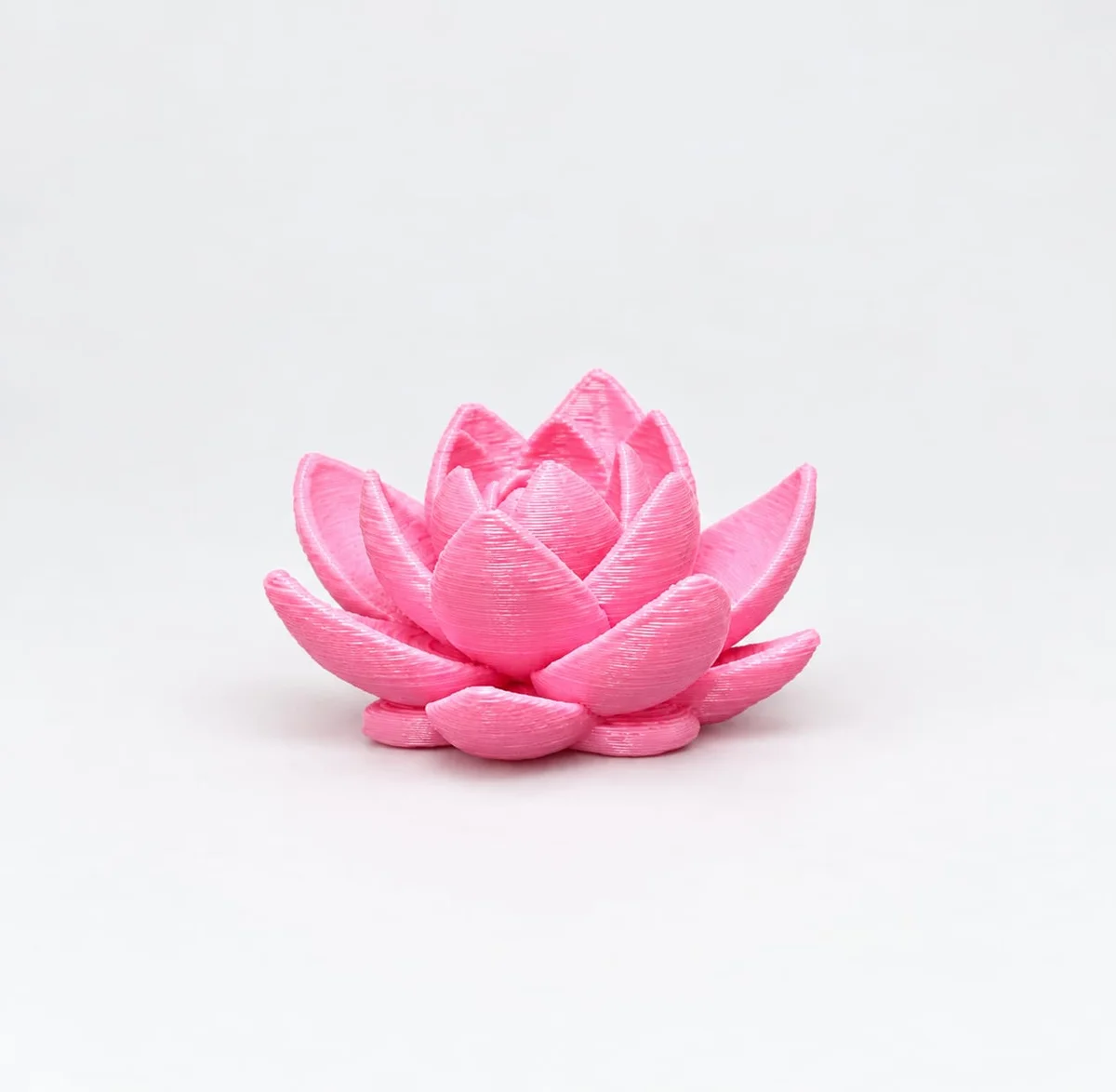 3D  Pink Lotus Miniature 4