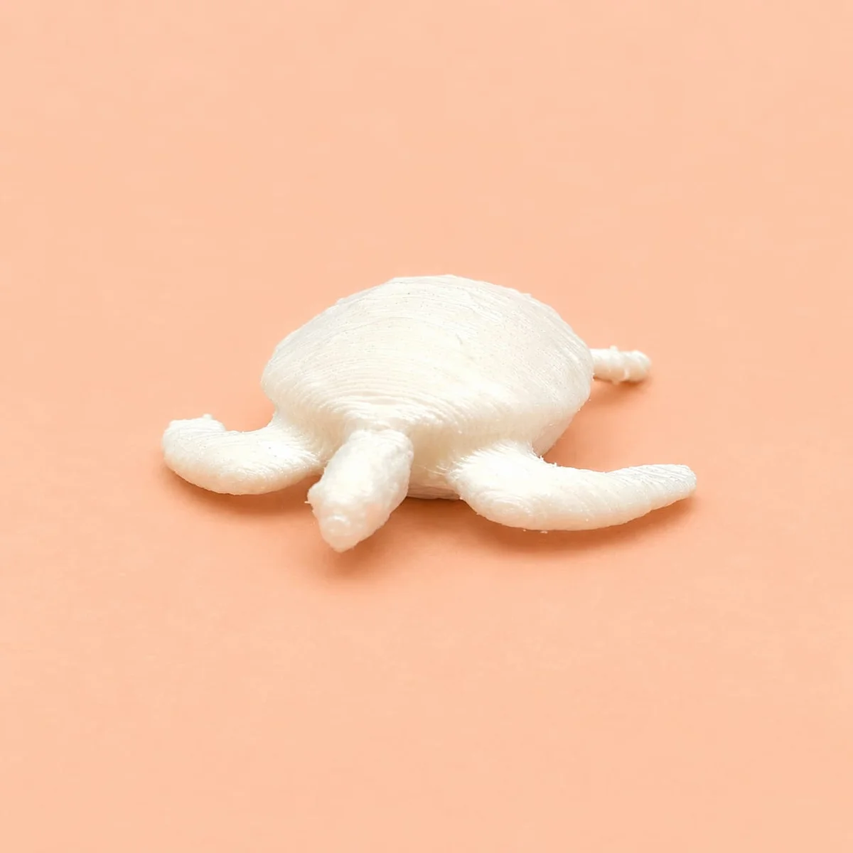 Turtle 20mm 2