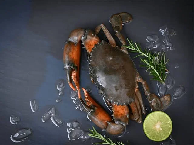 Live Mud Crab (কাকড়া)