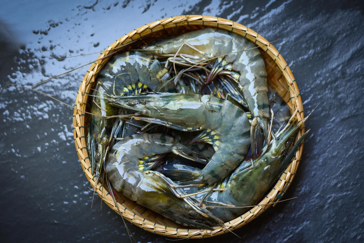 Malancha Tiger Prawn (বাগদা চিংড়ি)