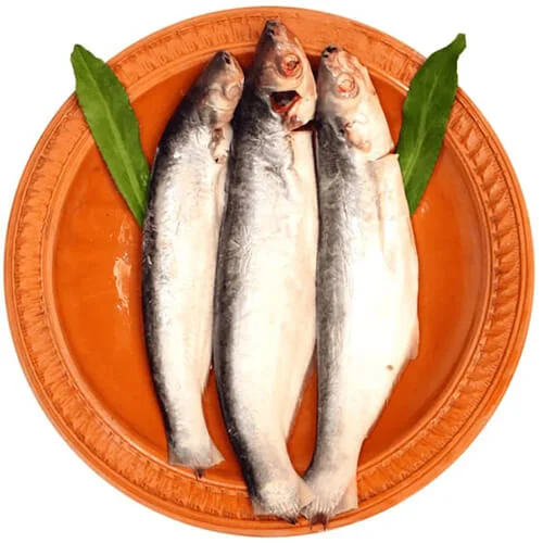 Fresh Bacha (বাচা মাছ)