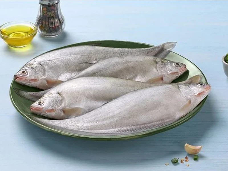 Fresh Folui (ফোলুই মাছ)