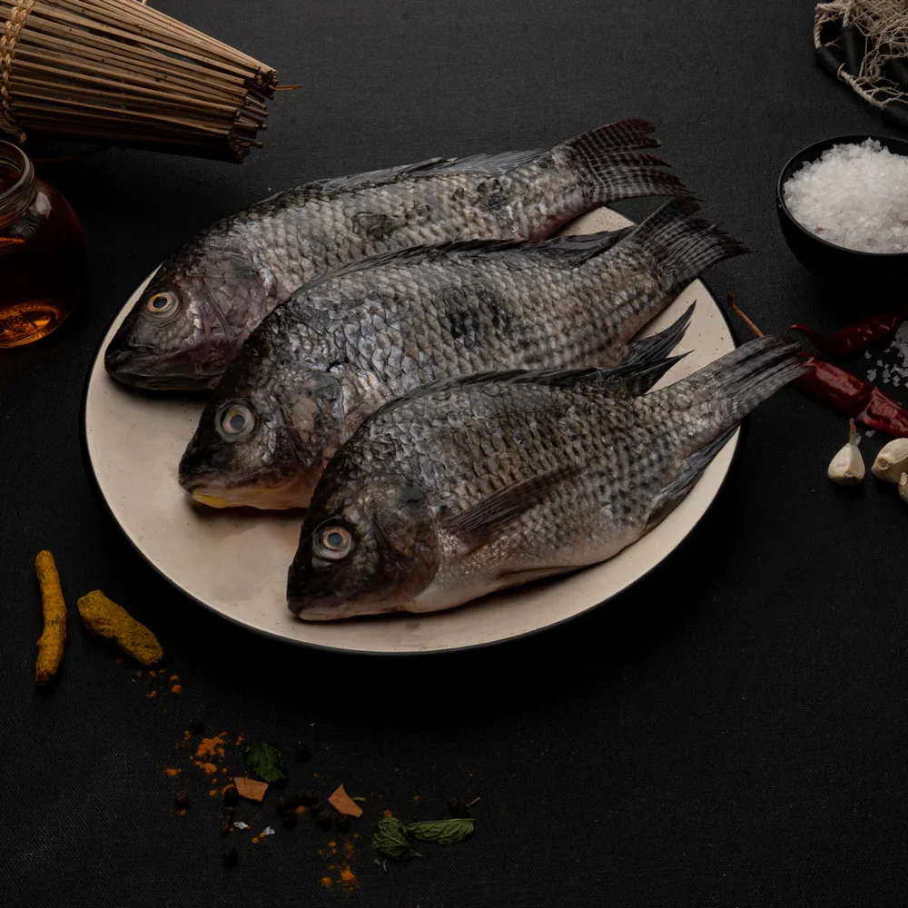 Malancha Tilapia (তেলাপিয়া মাছ)