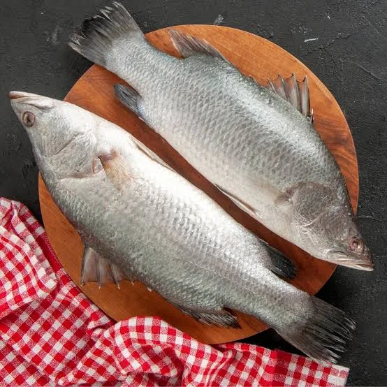 Malancha Bhetki (জ্যান্ত ভেটকি মাছ)