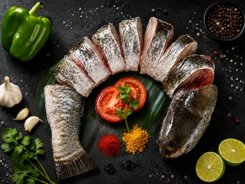Shol Fish (শোল মাছ)