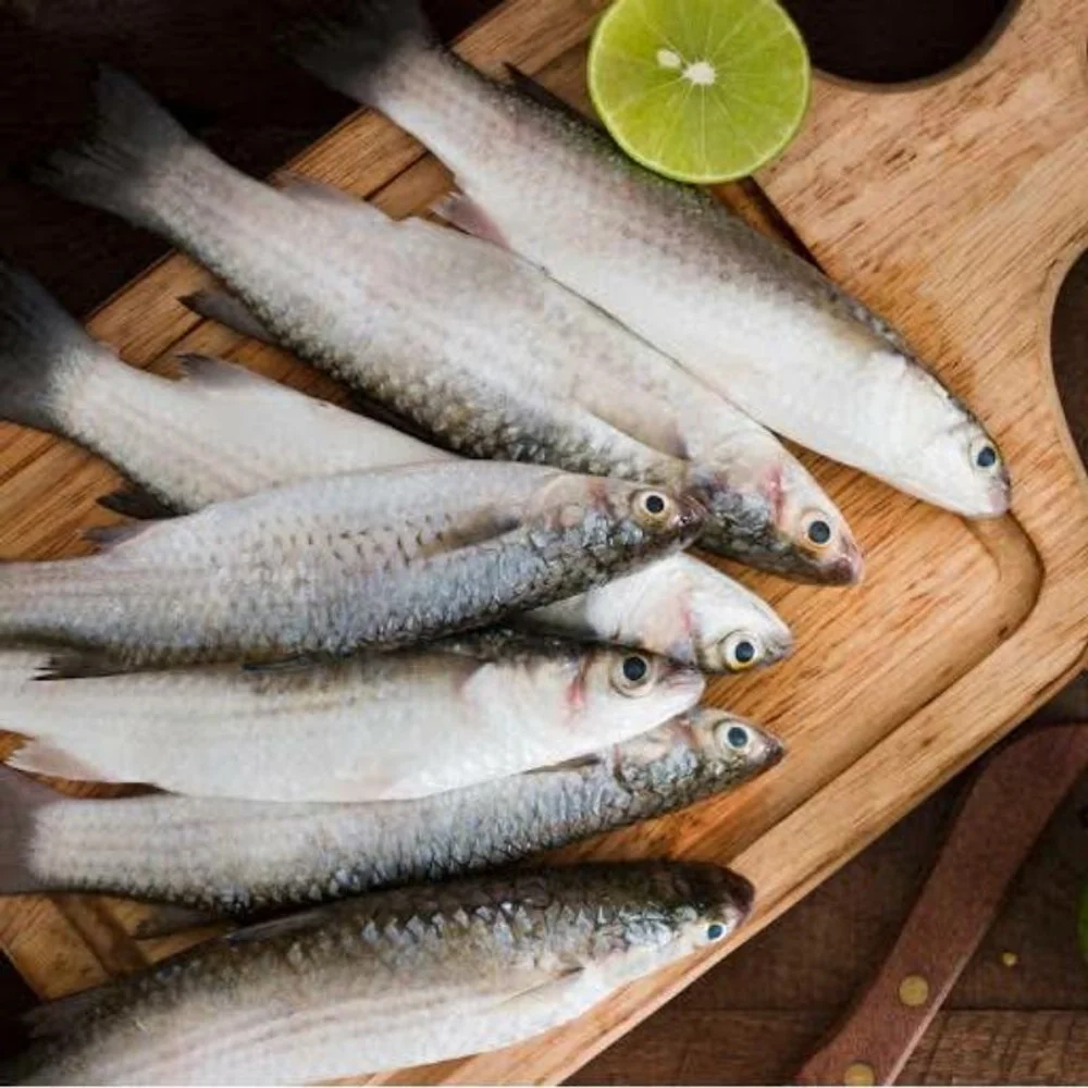 Malancha Desi Parshey (পার্শে মাছ)