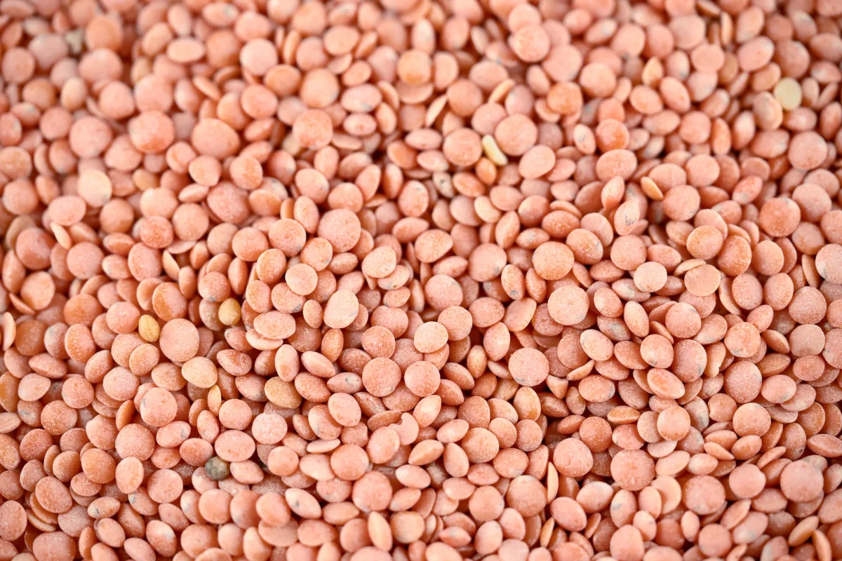 Masoor Dal 500 G