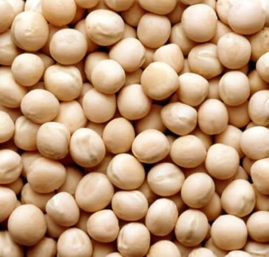 Pulses